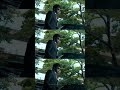 Mana ShankaraVaraprasad Garu Title Glimpse Megastar Chiranjeevi Nayanthara Anil Ravipudi