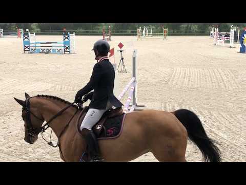 Gelding 7yo By Balou Du Rouet - Prepa 110
