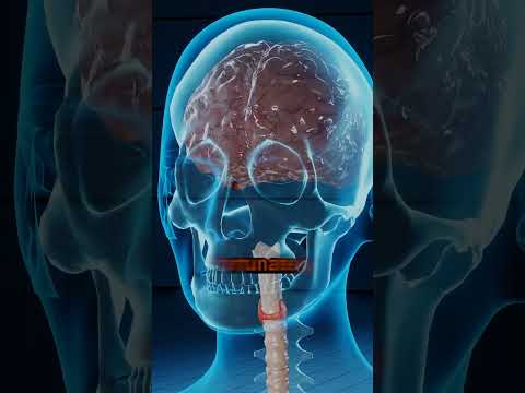 Kevin Nash’s Real Knife Injury in The Punisher Movie: A Behind-the-Scenes Accident !!