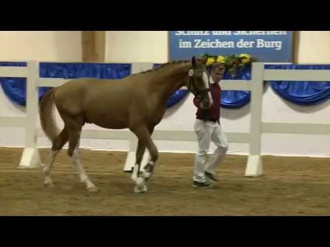 Los Angeles - Pluspunkt - KN 65