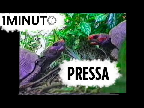Pra que pressa? - Marcia Volpato