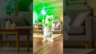 ✨😺 The Kitten and the Magic Wand 🪄#animation #supercattales #catfunny #cat #supercattalespaws #