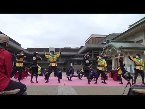 近畿大学　洗心　京都さくらよさこい　1日目　ロームシアター