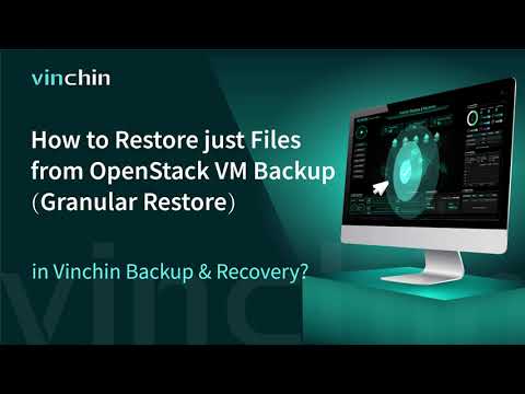 How to Restore just Files from OpenStack VM Backup (Granular Restore) in Vinchin Backup & Recovery?