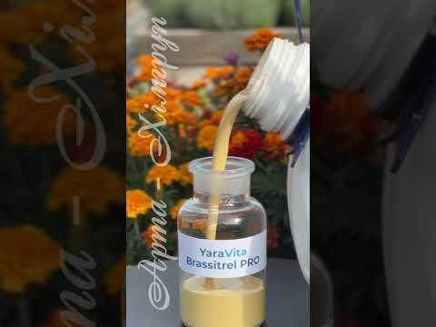 Добриво ЯраВіта Брассітрел PRO / Добриво ЯраВіта BRASSITREL PRO (10 л) - фото 1 - id-p613025725