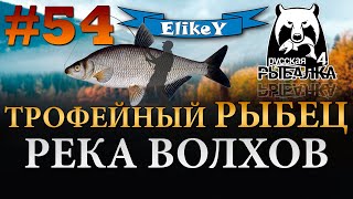 Волхов у дубравы на что ловить