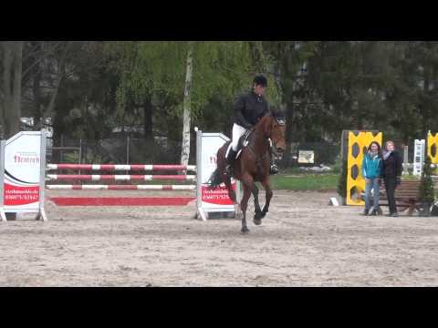 Iberia Dream of Fire v. Iberio