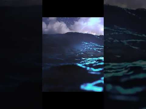 The underwater world 🗺 #vfx #specialeffects #3danimation #cgi #nft