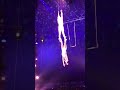 Harper At The Circus
