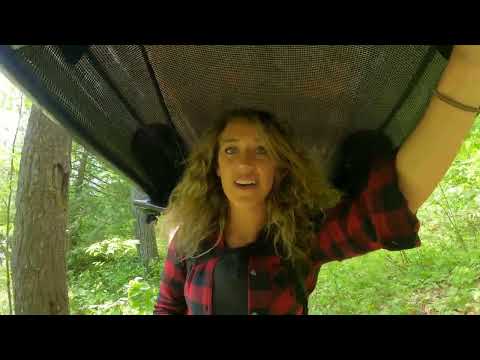 Solo Day Trip in Algonquin Park