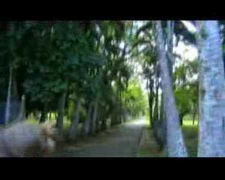 RMB spring extended / Mauritius (quick motion) winter 2005