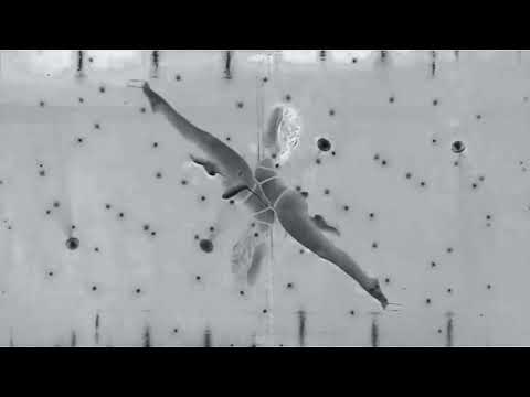 A.Bulldozza - Lambada