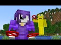 Leowook Traps Princezam On Lifesteal SMP