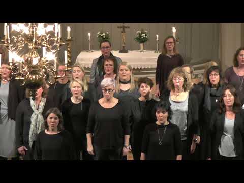 Vox Femina - Från skymning till gryning