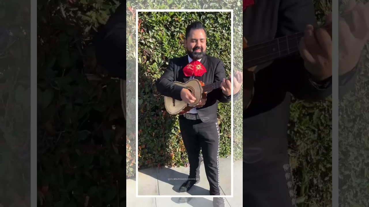 Promotional video thumbnail 7 for Mariachi Bohemio