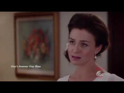 Grey's Anatomy season 12 episode 24 Meredith to be Amelia's person for a day