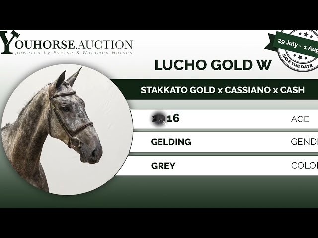 Lucho Gold