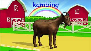Download lagu Nama dan Suara Hewan Ternak   Suara Binatang Animasi   Pembelajaran Anak anak mp3 Download lagu Nama dan Suara Hewan Ternak   Suara Binatang Animasi   Pembelajaran Anak anak mp3