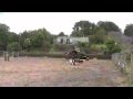 Warrawee Gay Paree Bareback Riding