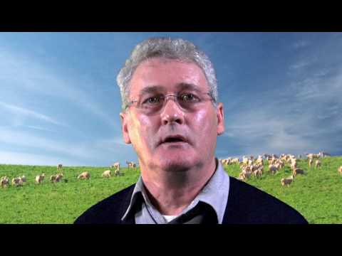 Crop Diary, September