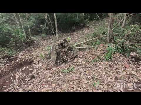 4°Trilhão de (Pedra Dourada MG) 07/09/2025 (Final)