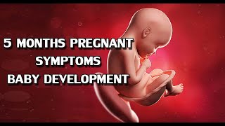 What Happens at 5 Months of Pregnancy? 5 Months Pregnant: Symptoms, and Baby Development
