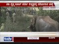 Janasri News Save Elephant Siddu Campaign Part 2
