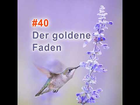#40 | Der goldene Faden