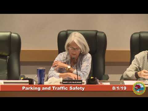 Parking and Traffic Safety Committee 8.1.2019