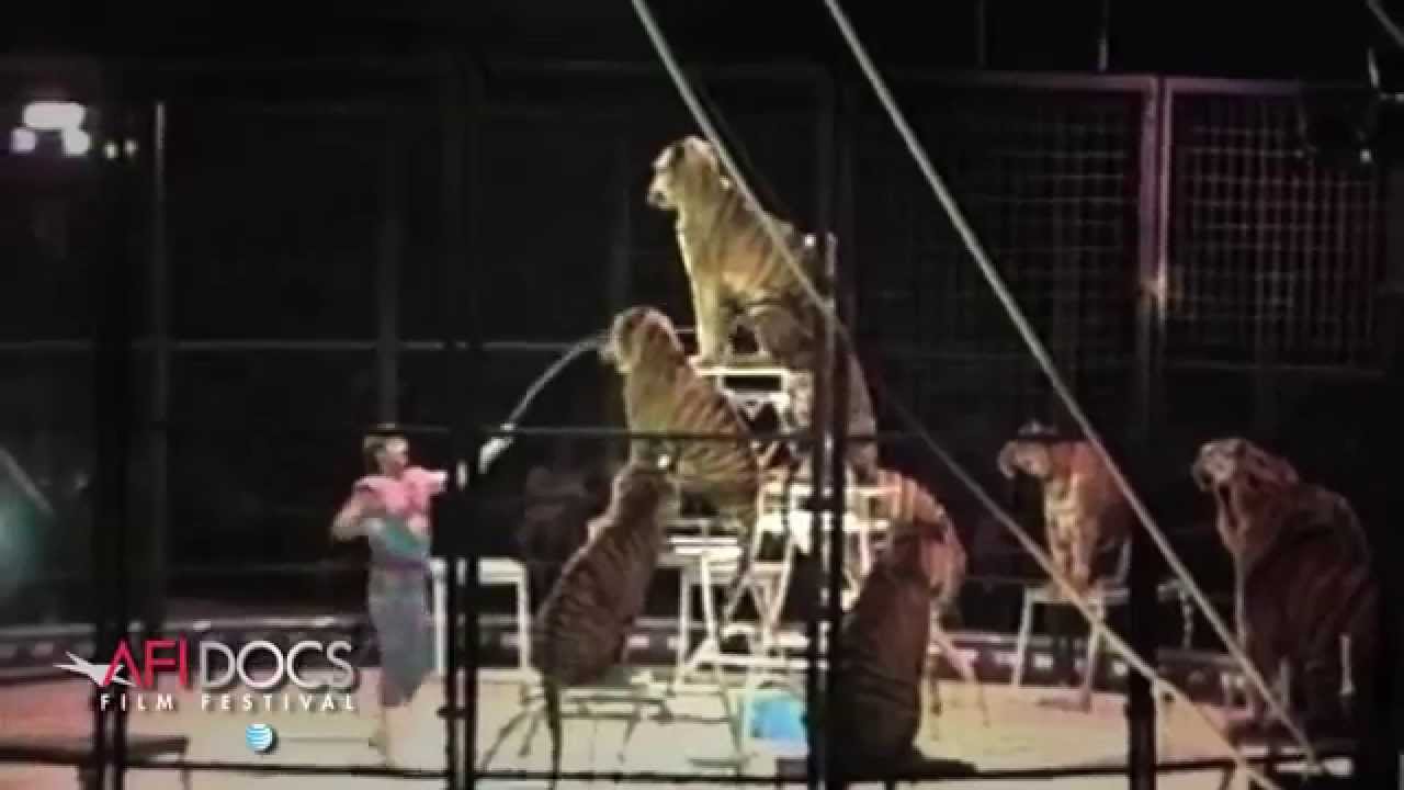 Tyke Elephant Outlaw- Promo Clip