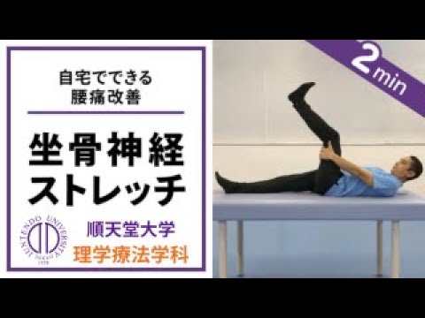 医学科 【坐骨神経痛】理学療法士が教える 寝ながらできる2分間の坐骨神経ストレッチ