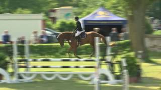 Video di Commander Fox