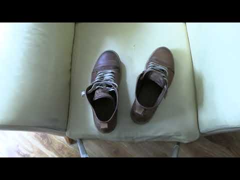 Rose Anvil X Goral S.M.U.G.S 1 year update