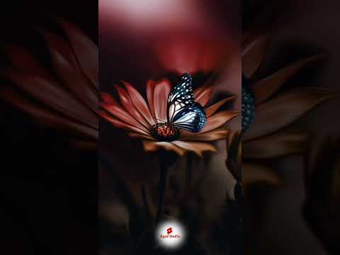 Nature Photography Instagram