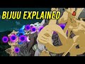 ALL Tailed Beasts EXPLAINED
