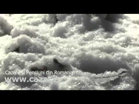 Cazare Albesti, Arges - Cazat.ro