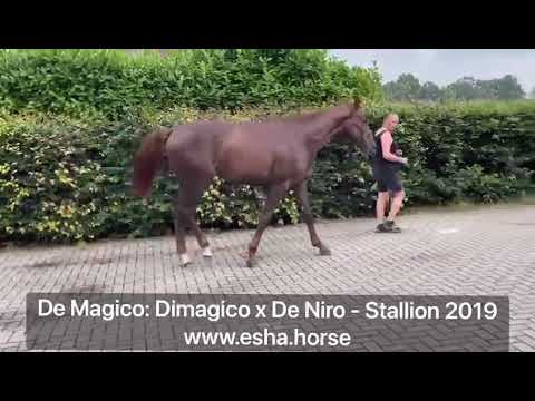 De Magico: DIMAGICO x DE NIRO