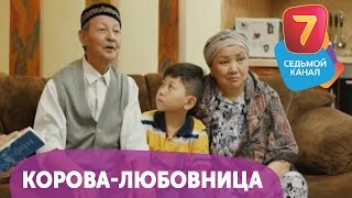 Корова - любовница! Смотрите Q-елі ПН-ПТ в 19:00 на Седьмом канале!