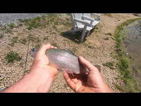trout fishing at nantyglo pond