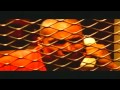 Hieroglyphics-At The Helm "Best Quality" [ HD ]