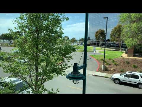 AVENUE 64 - Christie Avenue Layout (w/ Hard Flooring & Balcony) - 1 Bed, 1 Bath Apartment Home