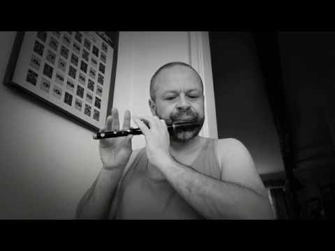 The King of Laois - Old Piccoloflute