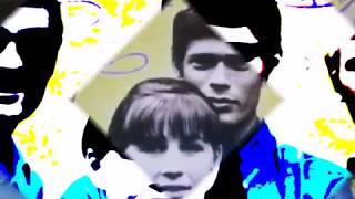 the seekers     &quot; someday one day &quot;     2018 stereo mix.