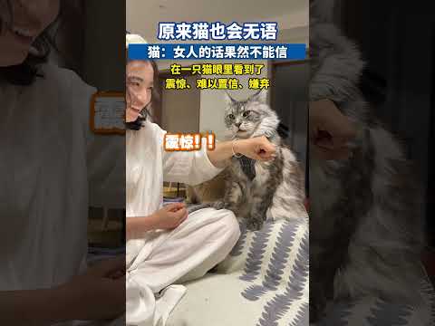原来猫也会无语，猫：女人的话果然不能信#缅因猫 #猫咪迷惑行为 #猫咪日常 #萌宠出道计划 #萌宠成精了