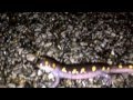 Spotted Salamander crossing the road during spring rains