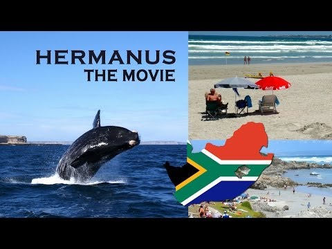 Hermanus the Movie, in South Africa