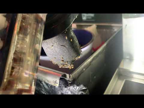 Soda Gun Gets Infested with Fruit Flies in Beachwood, NJ