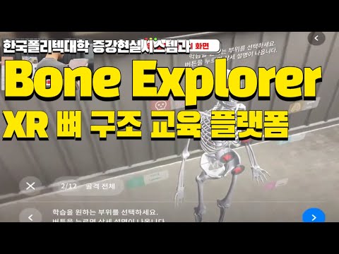 XR 뼈 구조 교육