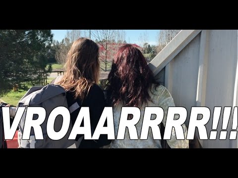 RED BULL, FERRARI, TORRO ROSSO, WILLIAMS, SAUBER, MCLAREN & HAAS