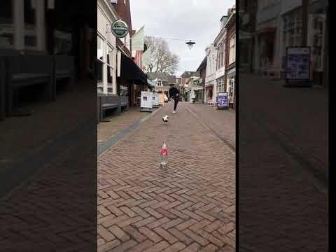 SC Franeker 20 day challenge: dag 2 flesje schieten zilver